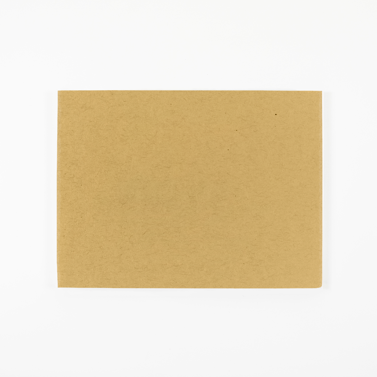 Glitter Trap Kraft Envelope - Gift Delivery