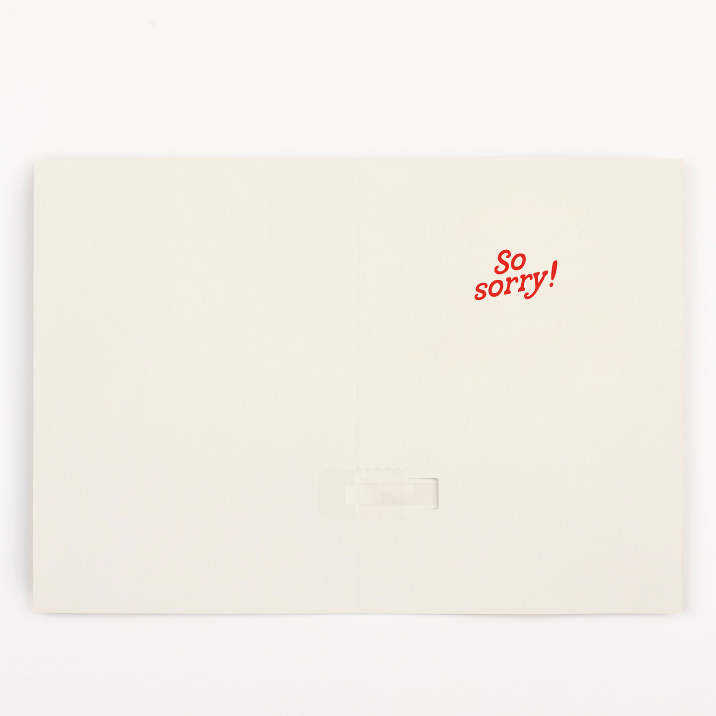 Endless I'm Sorry +  Gift Note