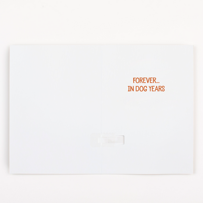 Endless Never Gonna Give You Up Thank You + Custom Message